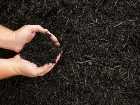 Photo of a person holding black mulch in their hands